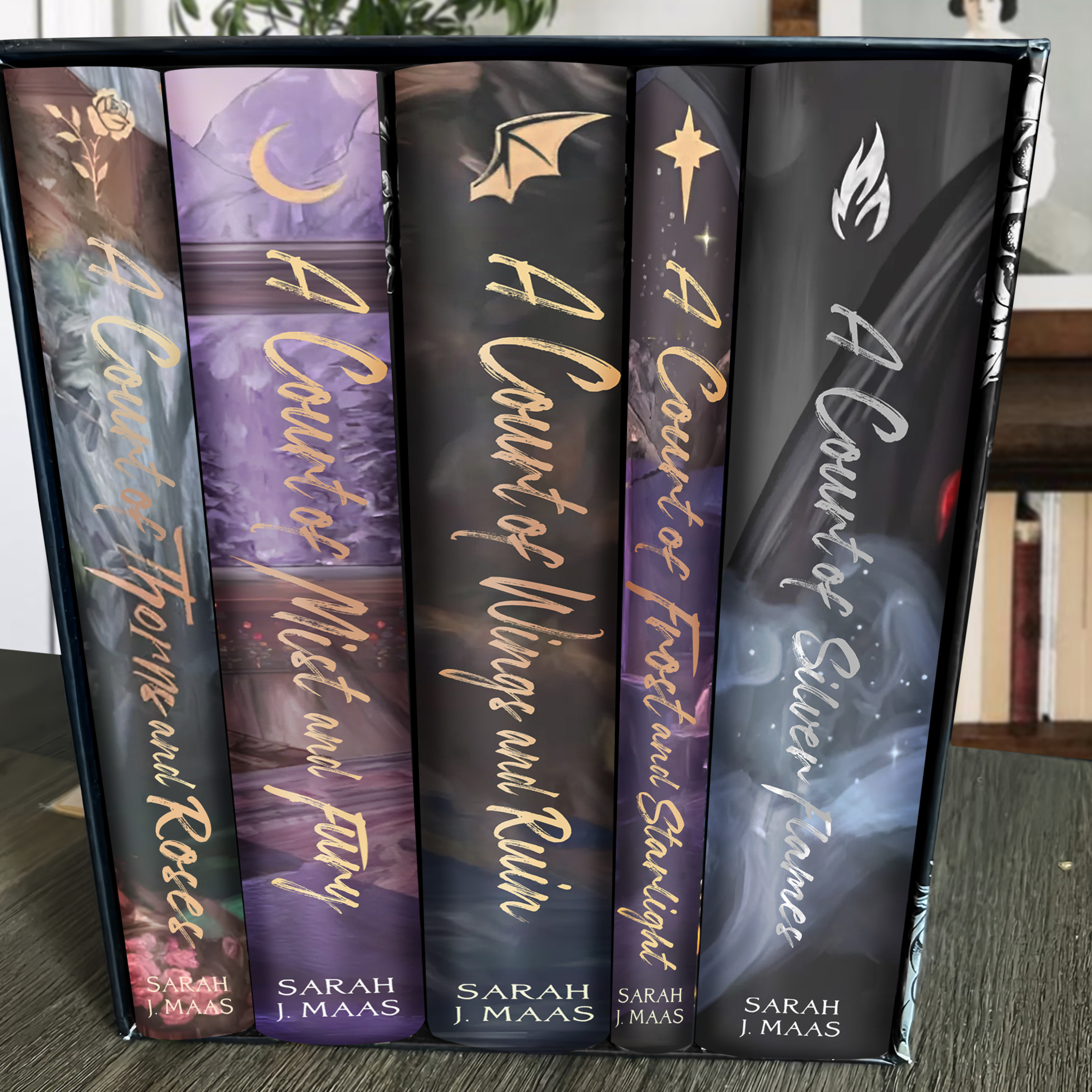 Rainbow ACOTAR Special Edition Book Box Set - Bundle