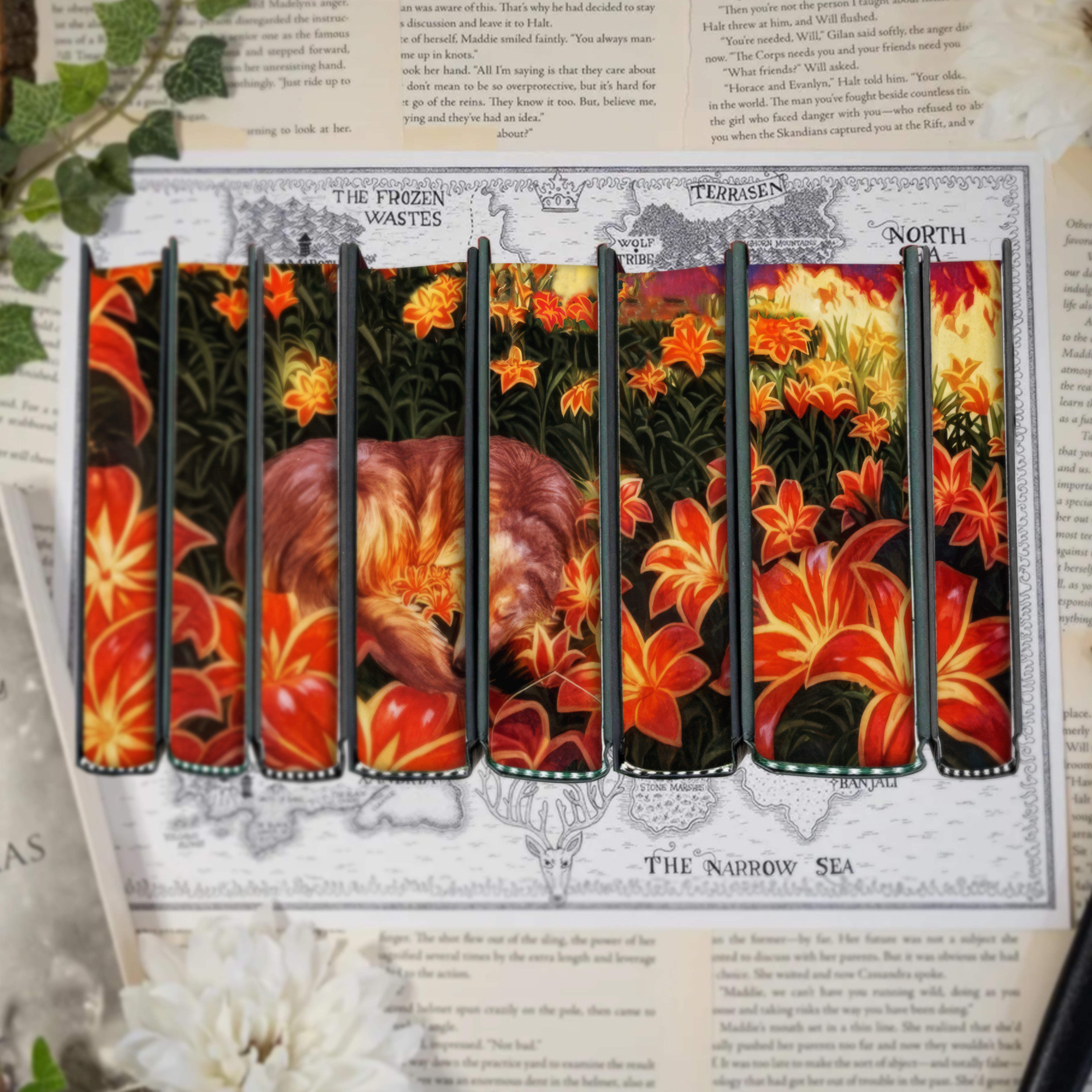 TOG LEGACY (Locations Dust Jackets) by Sarah J. Maas - Throne of Glass Special Edition Box Set